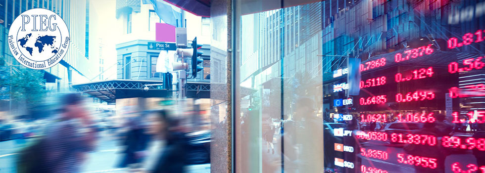 Plainview International Education Group